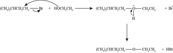 Organic Chemistry (Looseleaf), Chapter 7, Problem 7.19P , additional homework tip  4