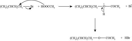 Organic Chemistry (Looseleaf), Chapter 7, Problem 7.19P , additional homework tip  6
