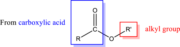 Connect 1-Semester Online Access for Principles of General, Organic & Biochemistry, Chapter 13, Problem 13.59AP , additional homework tip  5