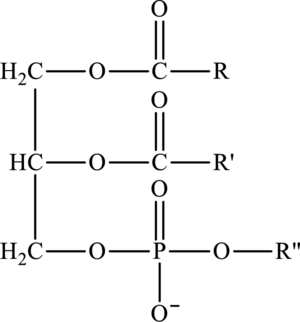 Principles of General, Organic, Biological Chemistry, Chapter 15, Problem 15.58AP , additional homework tip  2