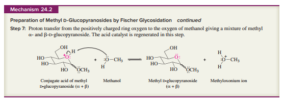 Chapter 24.14, Problem 18P, Using Mechanism 24.2 as a guide, write a stepwise mechanism for the acid hydrolysis of methyl , example  3
