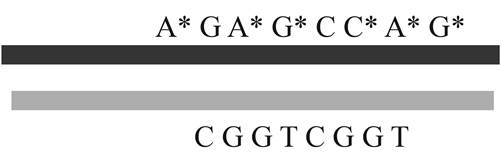 EBK GENETICS: FROM GENES TO GENOMES, Chapter 10, Problem 24P , additional homework tip  1
