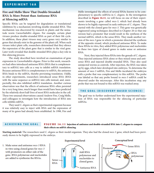 Chapter 16, Problem 6EQ, E6. In Experiment 16A by Fire and Mello, were they injecting pre  miRNA or pre  siRNA? Explain. , example  1