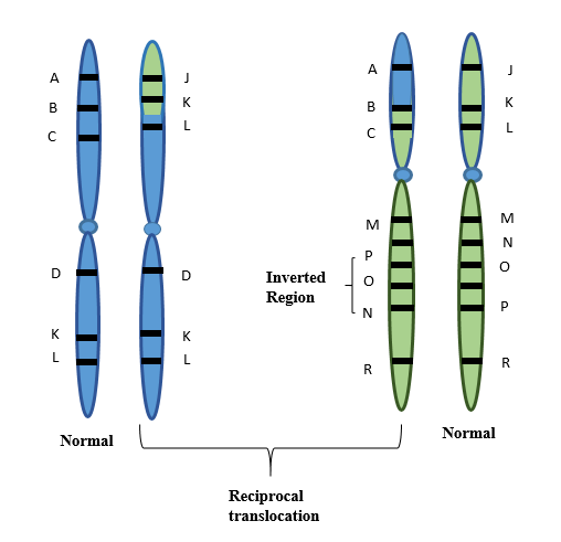 Genetics: Analysis and Principles, Chapter 8, Problem 1QSDC 