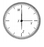 Glencoe Math Accelerated, Student Edition, Chapter 11.1, Problem 33IP , additional homework tip  2