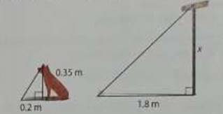 Glencoe Math Accelerated, Student Edition, Chapter 5.10, Problem 22STP 