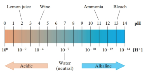 Chapter 4.3, Problem 97PE, Scientists use pH scale to represent the level of acidity or alkalinity of a liquid. This is based 