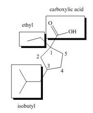 ORGANIC CHEMISTRY W/BIO...-STUD.SOLN., Chapter 19, Problem 19.29P , additional homework tip  3