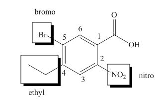 Package: Loose Leaf for Organic Chemistry with Biological Topics with Connect Access Card, Chapter 19, Problem 19.29P , additional homework tip  4