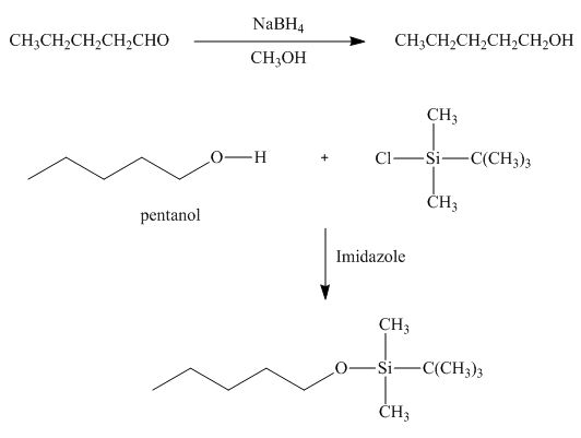 Package: Loose Leaf for Organic Chemistry with Biological Topics with Connect Access Card, Chapter 20, Problem 20.38P , additional homework tip  22