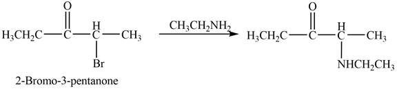 ORGANIC CHEMISTRY SOLUTION MANUAL, Chapter 23, Problem 23.13P , additional homework tip  4