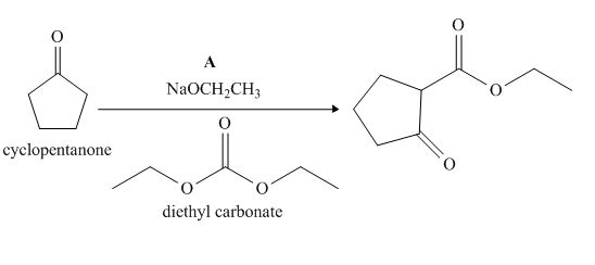 Package: Loose Leaf Organic Chemistry with Connect 2-year Access Card, Chapter 24, Problem 24.48P , additional homework tip  2