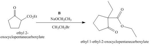 Loose Leaf for SG/Solutions Manual for Organic Chemistry, Chapter 24, Problem 24.48P , additional homework tip  3