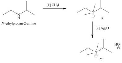 ORGANIC CHEMISTRY LSLF W/CONNECT >BI<, Chapter 25, Problem 25.53P , additional homework tip  5