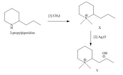 ORGANIC CHEMISTRY (LOOSE)-MOLYMOD PKG., Chapter 25, Problem 25.53P , additional homework tip  13