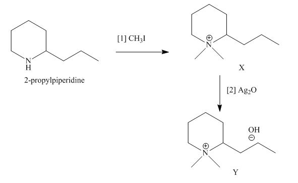 Package: Organic Chemistry with Connect 2-year Access Card, Chapter 25, Problem 25.53P , additional homework tip  15