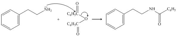 ORGANIC CHEMISTRY LSLF W/CONNECT >BI<, Chapter 25, Problem 25.55P , additional homework tip  11