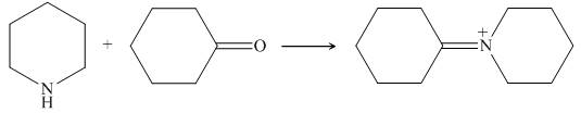 Study Guide/Solutions Manual for Organic Chemistry, Chapter 25, Problem 25.55P , additional homework tip  17