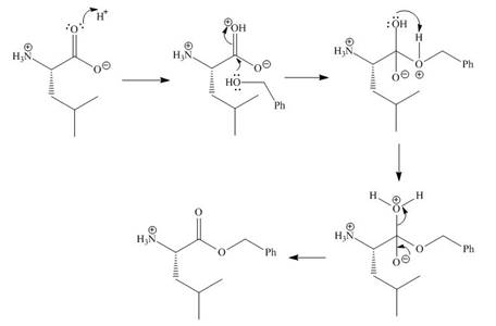 Organic Chemistry, Chapter 29, Problem 29.60P , additional homework tip  2