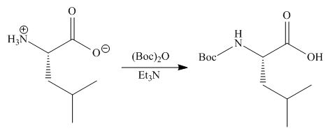 ORGANIC CHEMISRTY(LL)W/CONNECT, Chapter 29, Problem 29.60P , additional homework tip  4