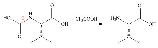 ORGANIC CHEMISTRY W/BIO...-STUD.SOLN., Chapter 29, Problem 29.60P , additional homework tip  10