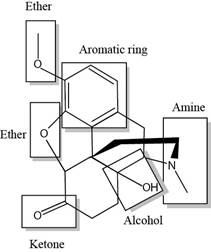 ORGANIC CHEMISTRY LSLF W/CONNECT >BI<, Chapter 3, Problem 3.61P , additional homework tip  2