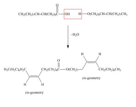 Organic Chemistry, Chapter 31, Problem 31.1P , additional homework tip  1