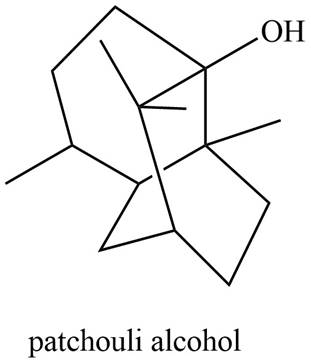 Package: Loose Leaf for Organic Chemistry with Biological Topics with Connect Access Card, Chapter 31, Problem 31.27P , additional homework tip  10