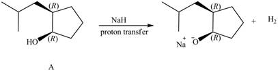 ORGANIC CHEMISTRY(LL)W/ACCESS>CUSTOM<, Chapter 9, Problem 9.38P , additional homework tip  6