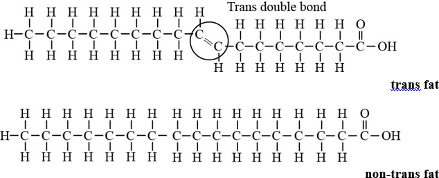 Biology 107 for Texas A&M University, Chapter 3, Problem 1NS.1QC 