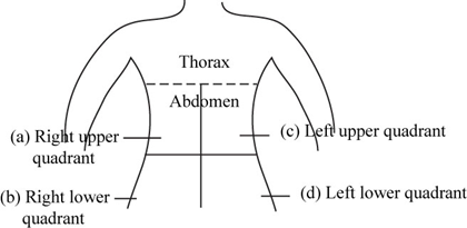 HOLE'S ANATOMY AND PHYSIOLOGY, Chapter 1, Problem 26CA 