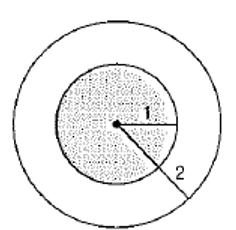 Advanced Mathematical Concepts: Precalculus with Applications, Student Edition, Chapter 13, Problem 10SAP 