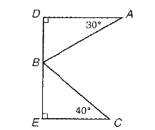 Advanced Mathematical Concepts: Precalculus with Applications, Student Edition, Chapter 14, Problem 5SAP 