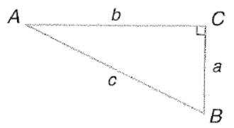 Advanced Mathematical Concepts: Precalculus with Applications, Student Edition, Chapter 5.2, Problem 3CFU , additional homework tip  1