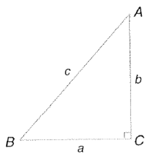 Advanced Mathematical Concepts: Precalculus with Applications, Student Edition, Chapter 5.4, Problem 10E , additional homework tip  1