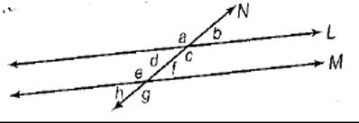 Advanced Mathematical Concepts: Precalculus with Applications, Student Edition, Chapter 9, Problem 1SAP 