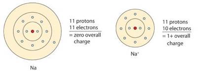 Chemistry: Matter and Change, Chapter 7, Problem 46A , additional homework tip  1