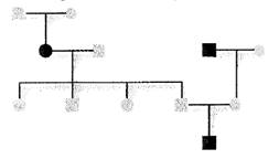 Biology Illinois Edition (Glencoe Science), Chapter 11, Problem 6A 