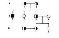 Biology Illinois Edition (Glencoe Science), Chapter 11, Problem 6STP 