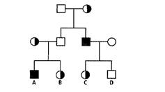 Biology Illinois Edition (Glencoe Science), Chapter 12, Problem 17STP 