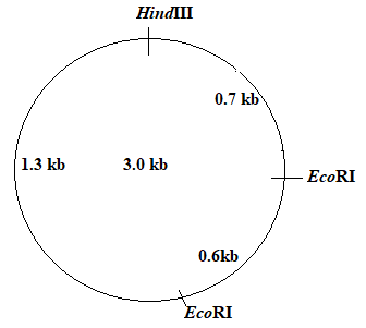 EP BIOLOGY 2012-STUDENTWORKS ONLINE, Chapter 13, Problem 22A 