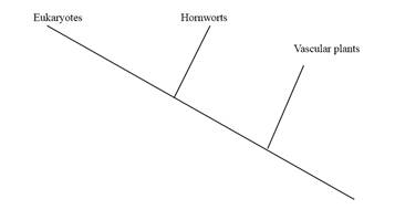 Biology Illinois Edition (Glencoe Science), Chapter 21, Problem 38A 