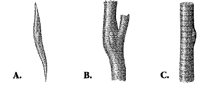 Biology Illinois Edition (Glencoe Science), Chapter 32, Problem 35A 