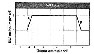 EP BIOLOGY 2012-STUDENTWORKS ONLINE, Chapter 9, Problem 21A 