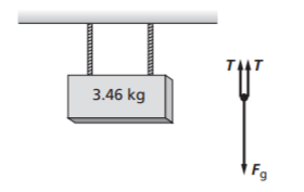 Glencoe Physics: Principles and Problems, Student Edition, Chapter 4, Problem 89A 