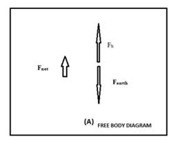 Glencoe Physics: Principles and Problems, Student Edition, Chapter 4.1, Problem 2PP 