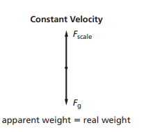 Glencoe Physics: Principles and Problems, Student Edition, Chapter 4.2, Problem 25SSC , additional homework tip  1