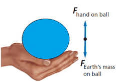 Glencoe Physics: Principles and Problems, Student Edition, Chapter 4.3, Problem 34SSC 