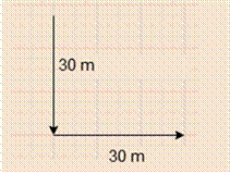 Glencoe Physics: Principles and Problems, Student Edition, Chapter 5, Problem 60A , additional homework tip  2