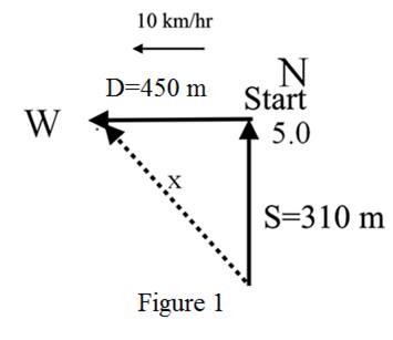 Glencoe Physics: Principles and Problems, Student Edition, Chapter 5, Problem 9STP 